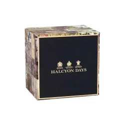 Halcyon Days Teaware*Antler Trellis Teacup & Saucer Ivory