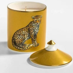 Halcyon Days Candles*Leopard Gold Jasmine Lidded Candle
