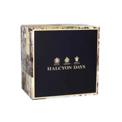 Halcyon Days Teaware*Shell Garden Teacup & Saucer